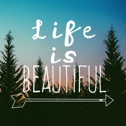 Insta Life Is Beautiful