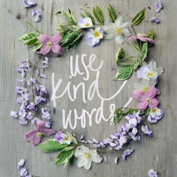 Use Kind Words
