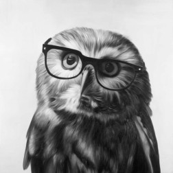 Realistic Northern Saw-whet Owl with Glasses