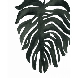 Tropical Palm II BW