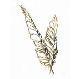Gilded Raven Feather