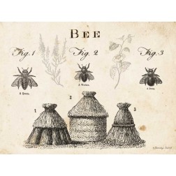 Bee Chart I