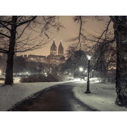 Path in cental park at night, winter, snow, New York.