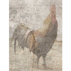 Traveling Rooster 2