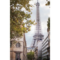 Eiffel View II