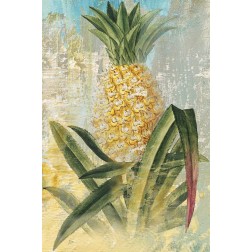 Botanical Pineapple