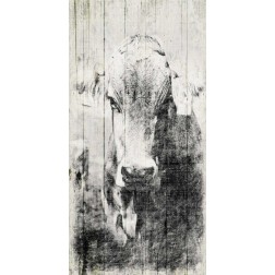Vintage Cow Mate