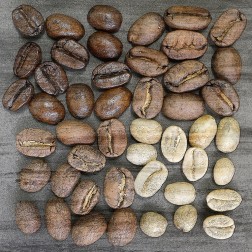 Coffee Beans 3