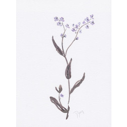 Lavender Wildflowers I