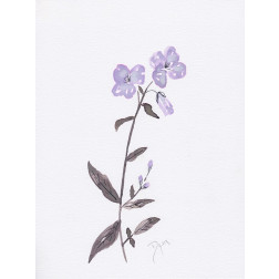 Lavender Wildflowers II