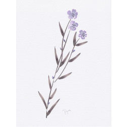 Lavender Wildflowers III