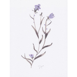 Lavender Wildflowers IV