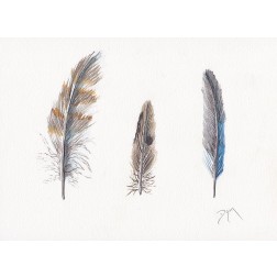 Feather Collection