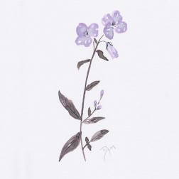 Lavender Wildflowers II