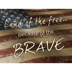 Because of The Brave