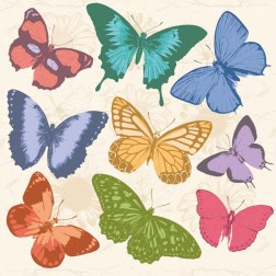 Colorful Butterflies Full