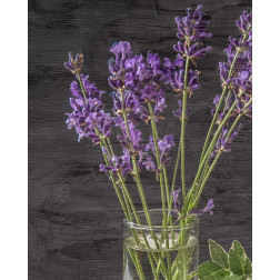 Lavender Jar 2