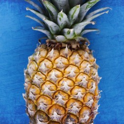 Pineapple Blue 2