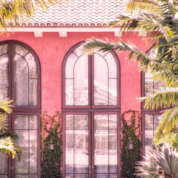 Palm Window