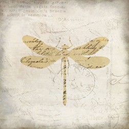 Dragonfly Letters 1