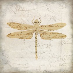 Dragonfly Letters 2