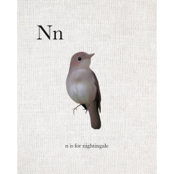 N is for Nightingale