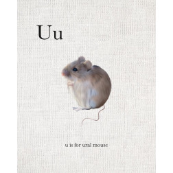 U is for Ural Mouse