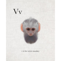 V is for Vervet Monkey