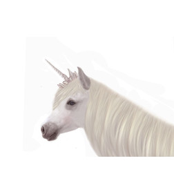 Pretty Unicorn