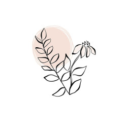 Line Drawing Florals Blush
