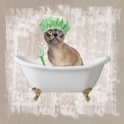Kitty Baths 3