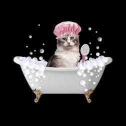 Fun Kitty Bath 3