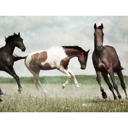 Running Horses 4