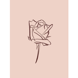 Simple Rose Flowers 4