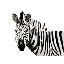 Original Zebra