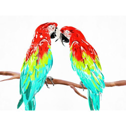 Fun Parrots