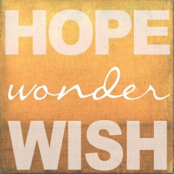 Hope Wonder Wish Orange