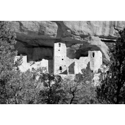 Cliff Dwelling At Mesa Verde BW