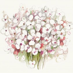 White Bouquet 