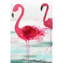 Beach Flamingoes