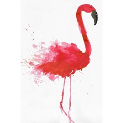 Flamingo Portrait II