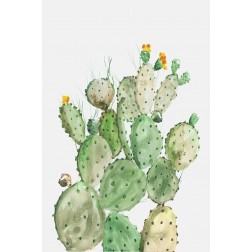 Sunny Cactus 