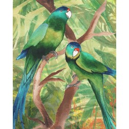 Tropical Birds II