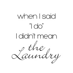 Didnt Mean The Laundry