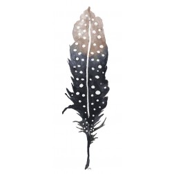 Dark Feather with Spots