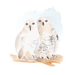 Watercolor Snowy Owls