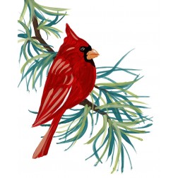 Modern Cardinal on Branch I