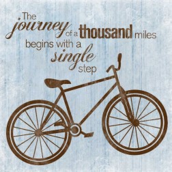 Journey Bike