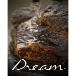 Dream Rocks