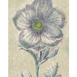 Belle Fleur II Crop Linen